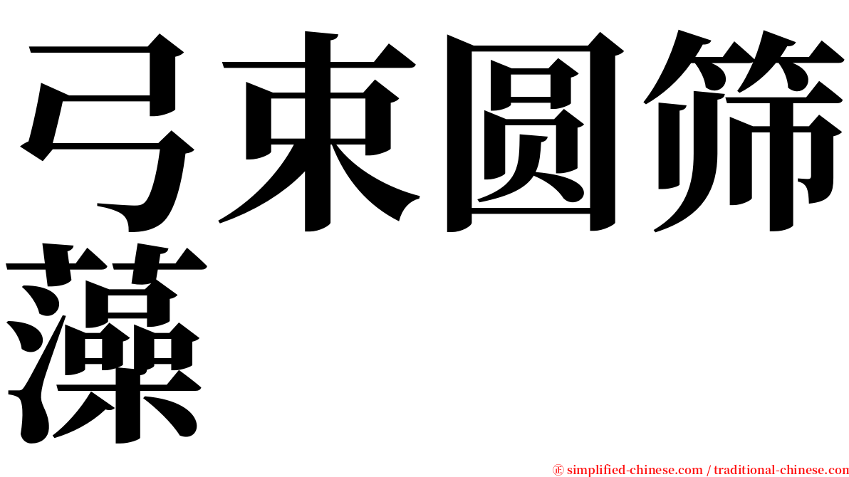 弓束圆筛藻 serif font