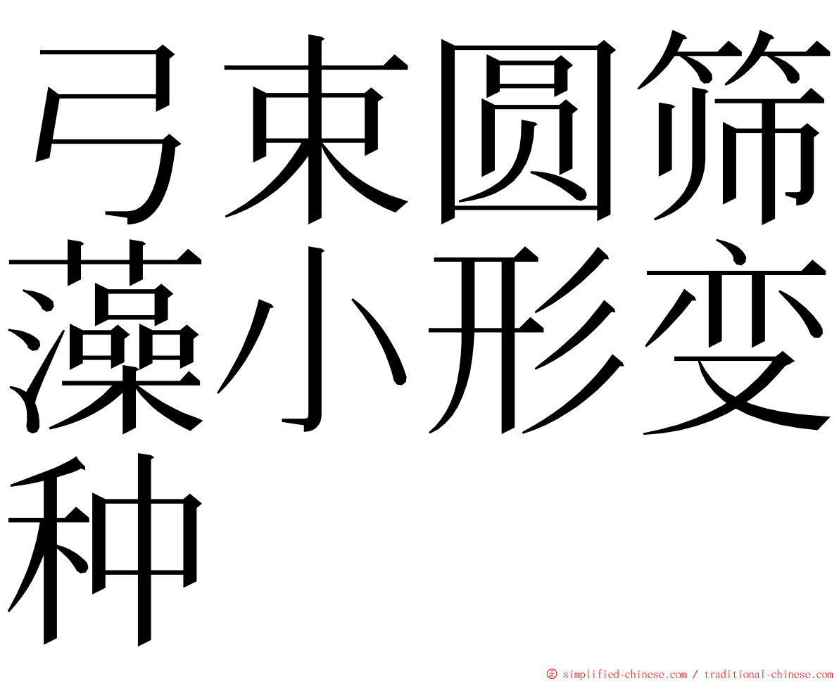 弓束圆筛藻小形变种 ming font