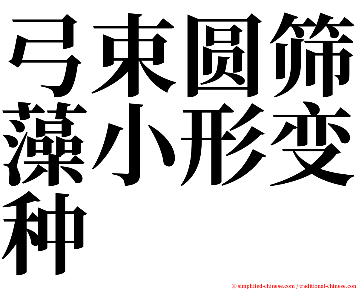 弓束圆筛藻小形变种 serif font