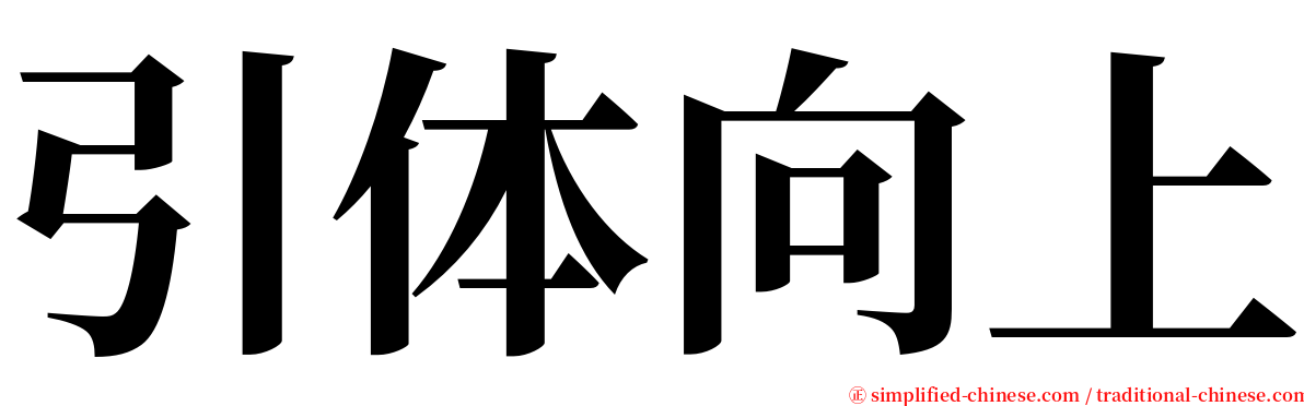 引体向上 serif font