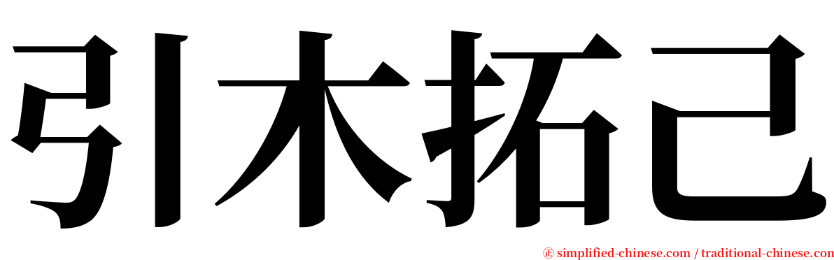 引木拓己 serif font