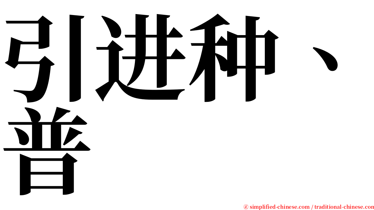 引进种、普 serif font