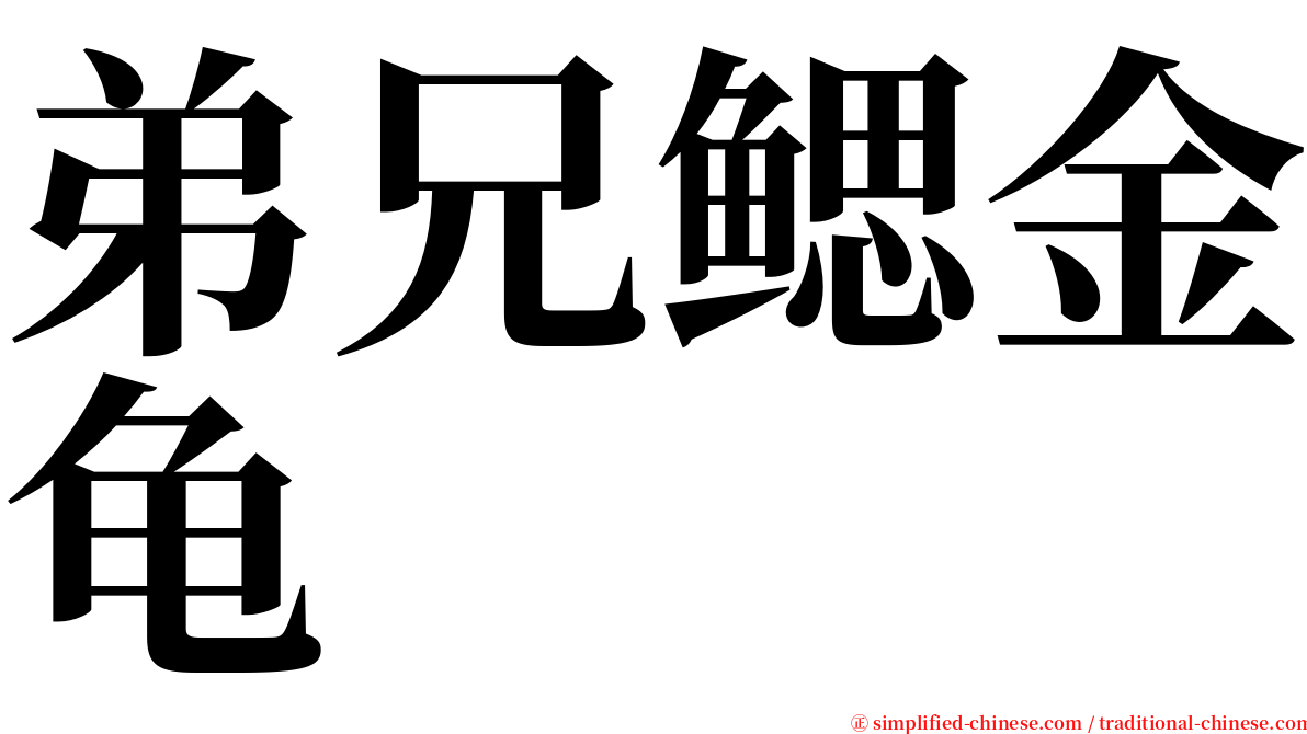 弟兄鳃金龟 serif font