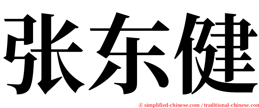 张东健 serif font