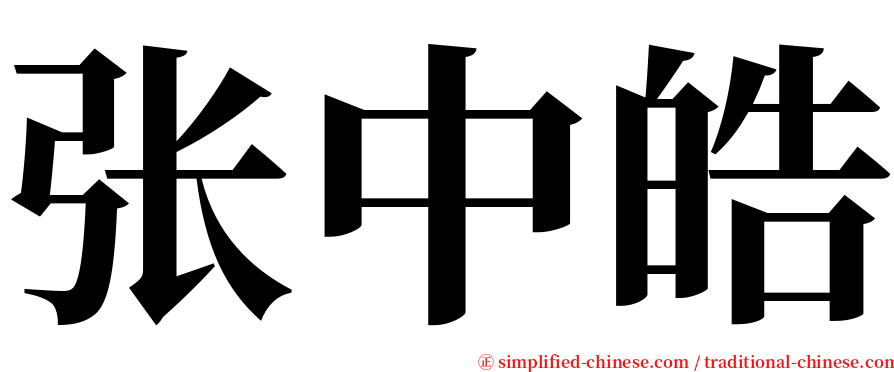 张中皓 serif font