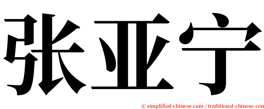 张亚宁 serif font