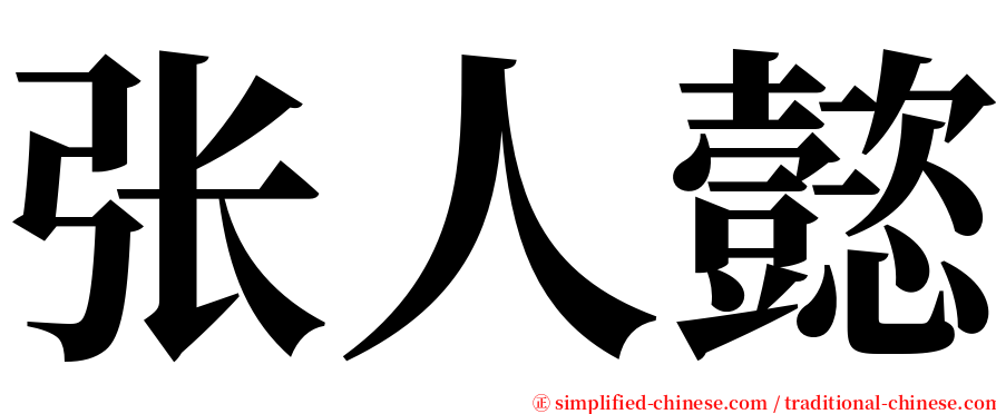 张人懿 serif font