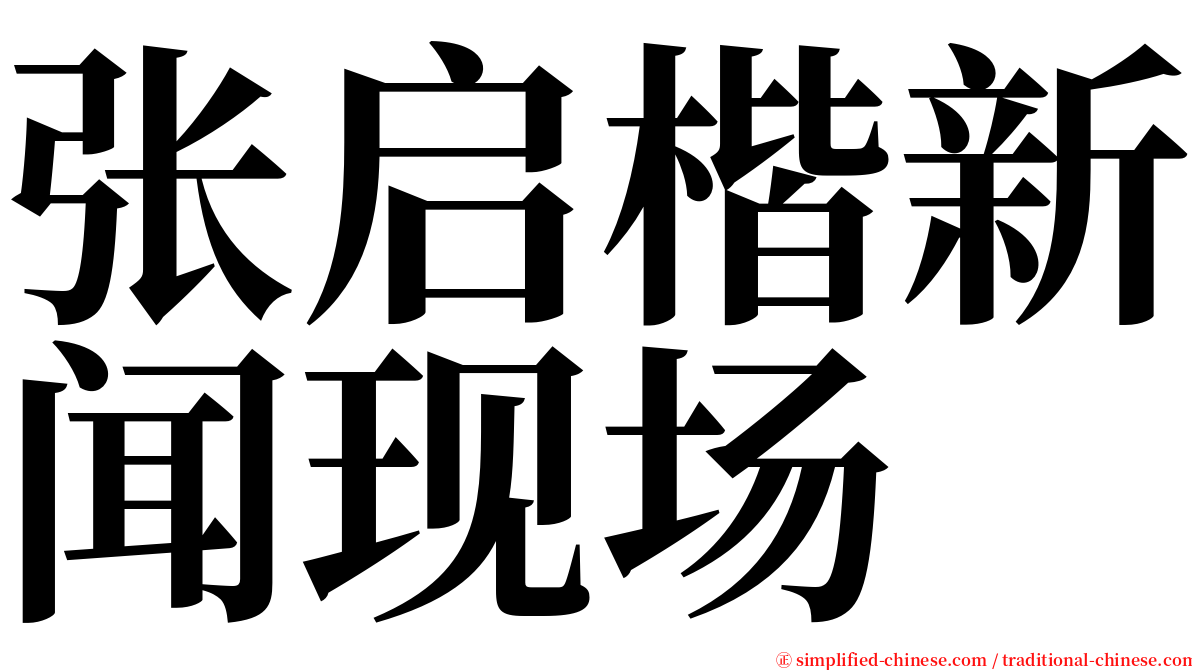 张启楷新闻现场 serif font