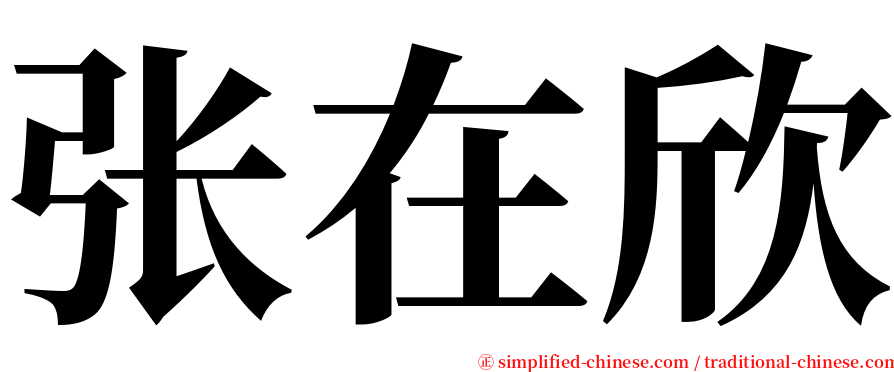 张在欣 serif font