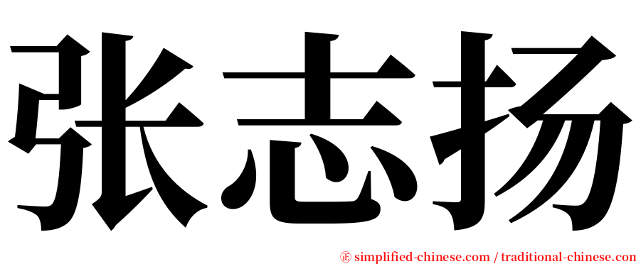 张志扬 serif font