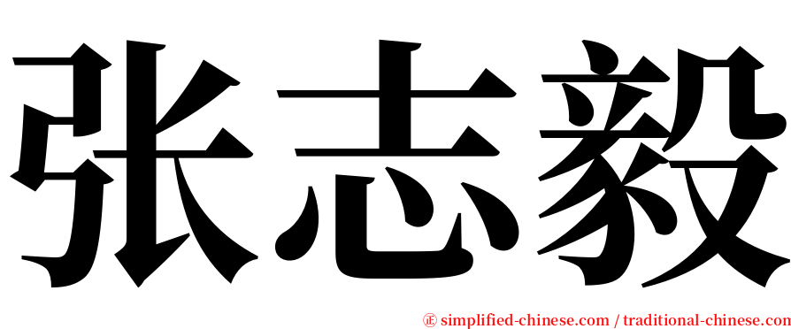 张志毅 serif font