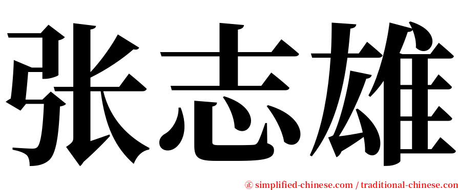 张志雄 serif font