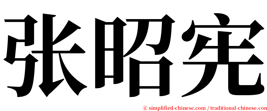 张昭宪 serif font