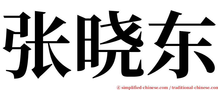 张晓东 serif font