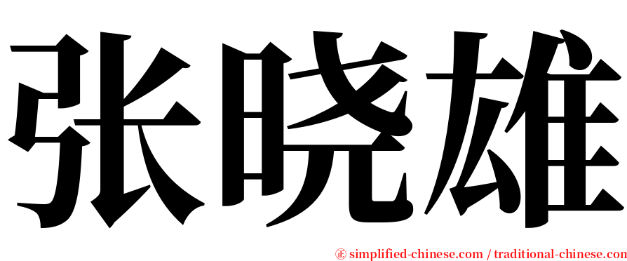 张晓雄 serif font