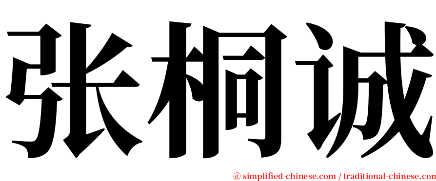 张桐诚 serif font