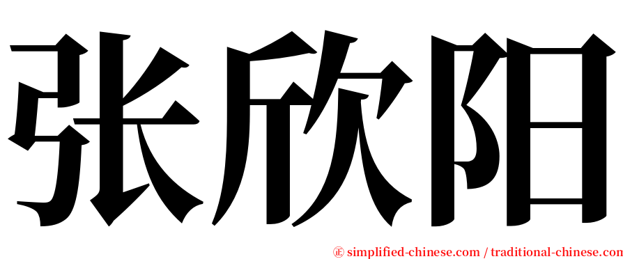 张欣阳 serif font