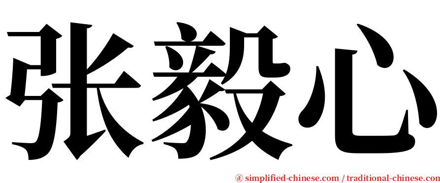 张毅心 serif font