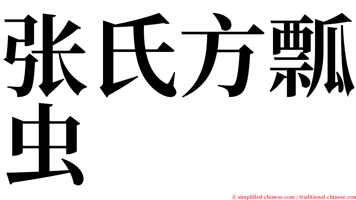 张氏方瓢虫 serif font