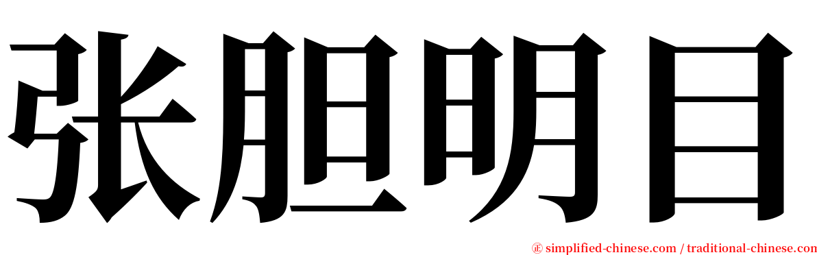 张胆明目 serif font