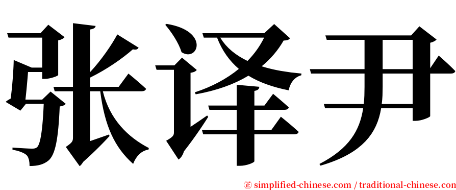 张译尹 serif font