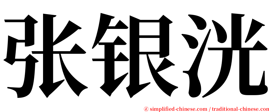 张银洸 serif font