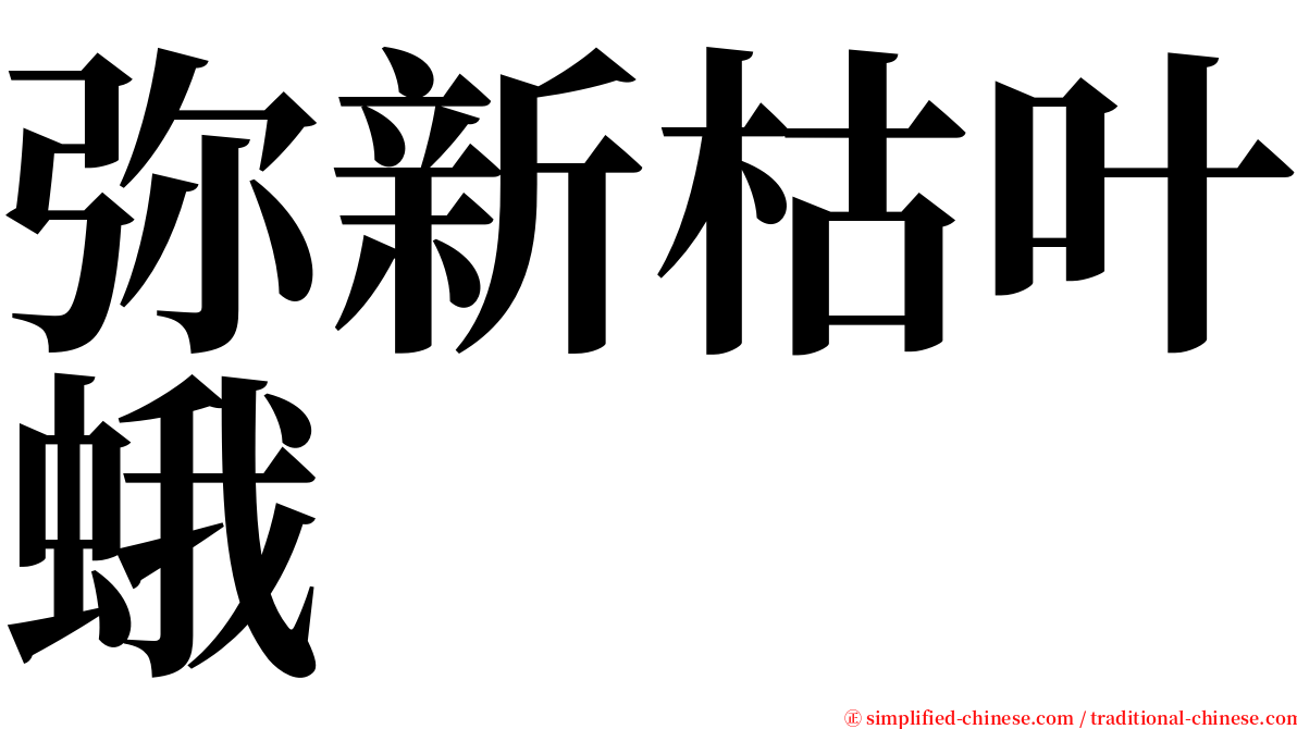 弥新枯叶蛾 serif font