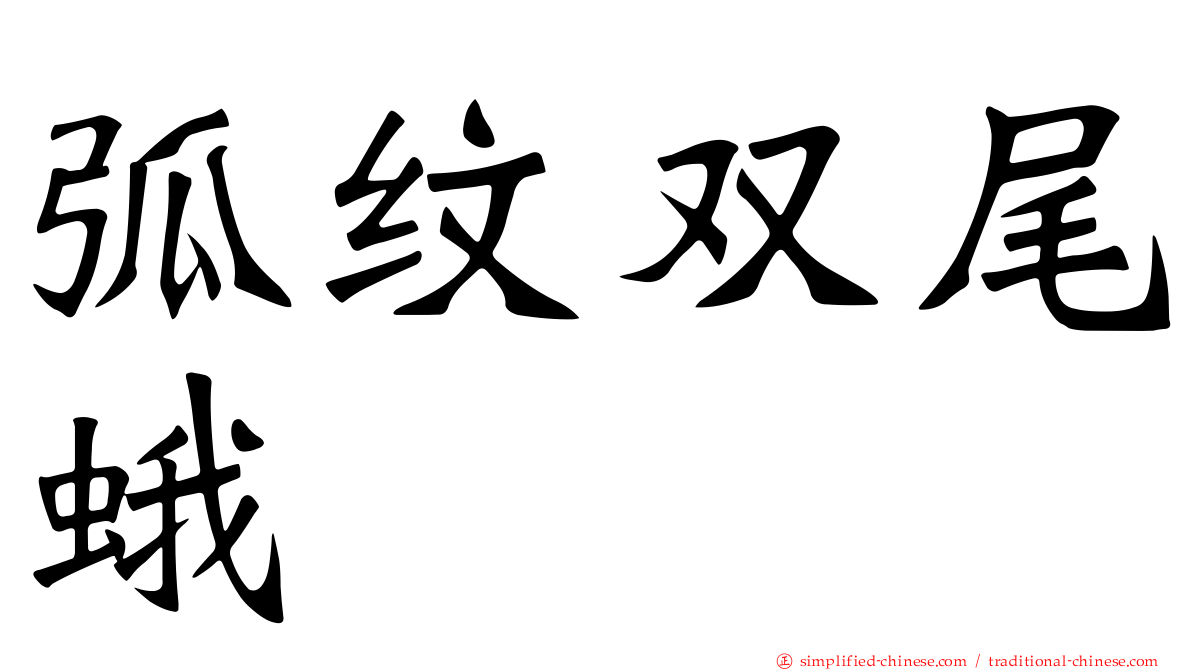 弧纹双尾蛾