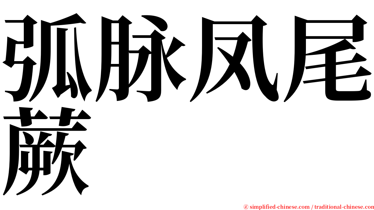 弧脉凤尾蕨 serif font