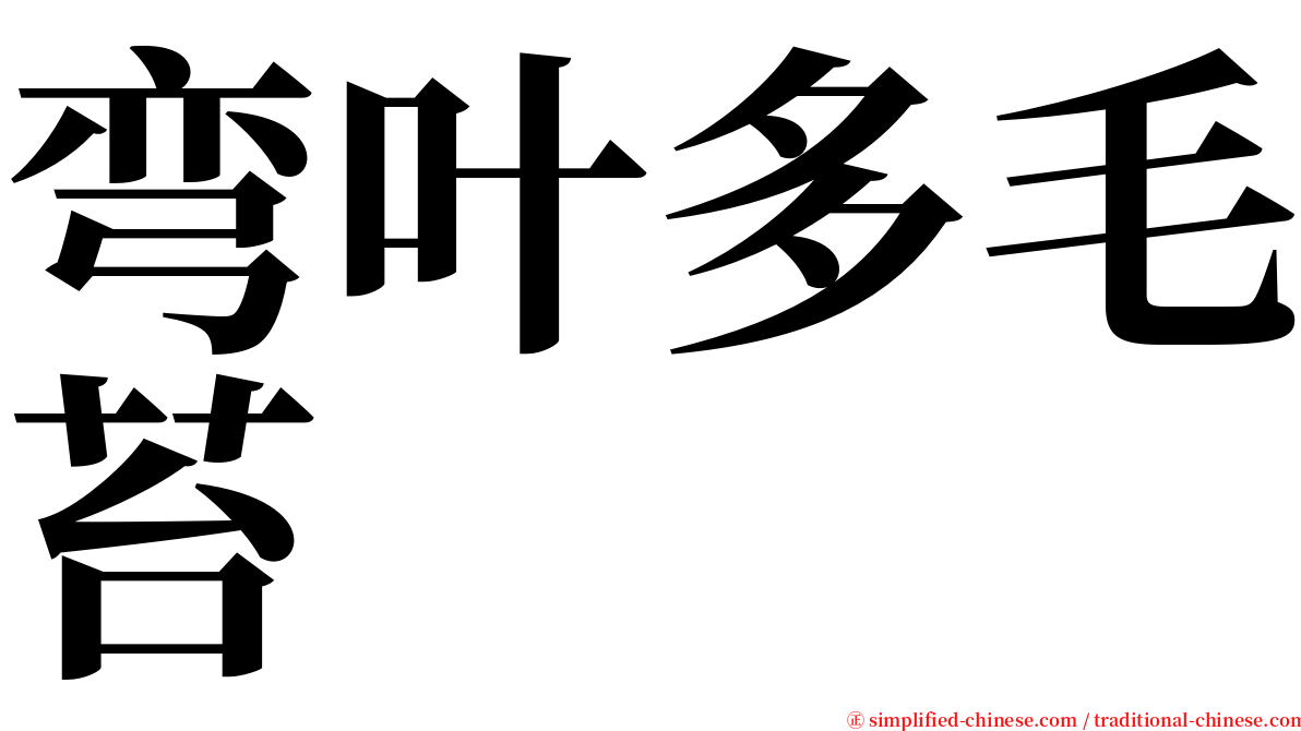 弯叶多毛苔 serif font