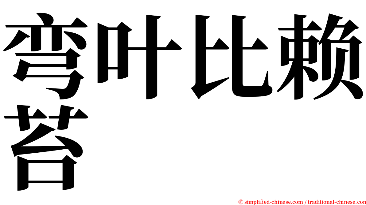 弯叶比赖苔 serif font