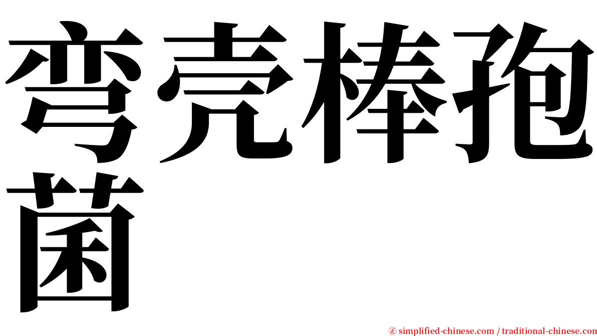 弯壳棒孢菌 serif font