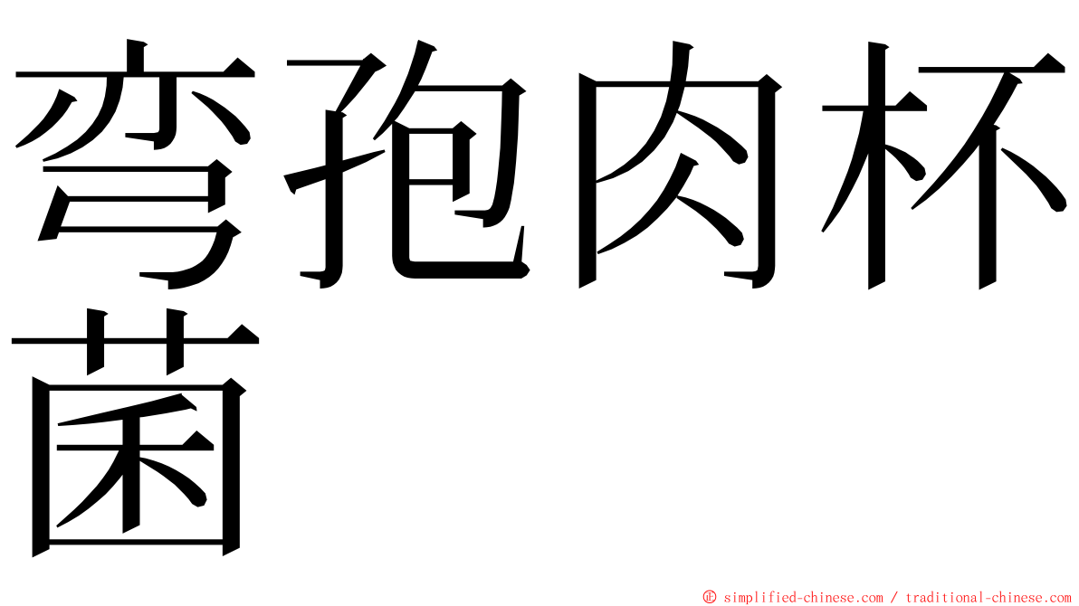 弯孢肉杯菌 ming font