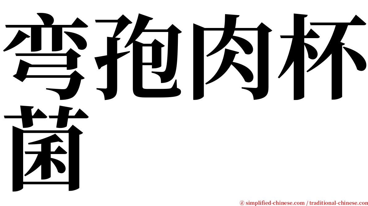 弯孢肉杯菌 serif font