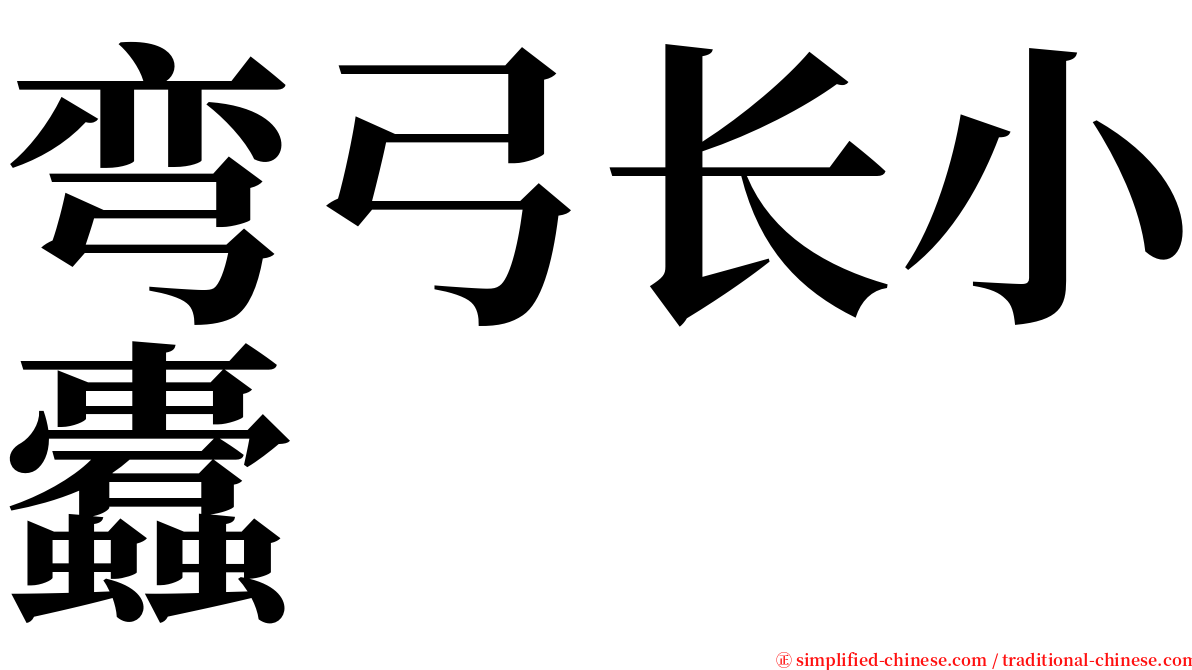 弯弓长小蠹 serif font