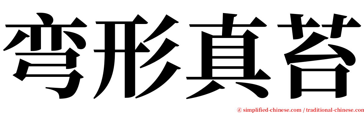 弯形真苔 serif font