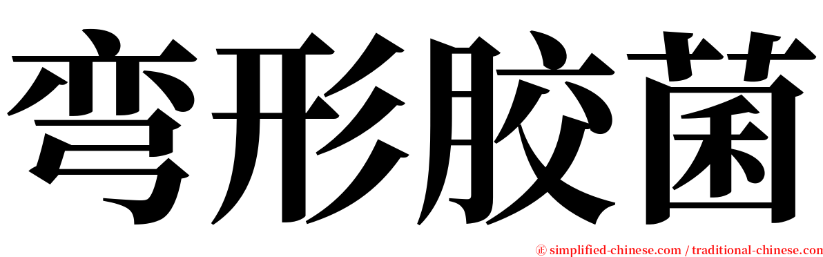 弯形胶菌 serif font