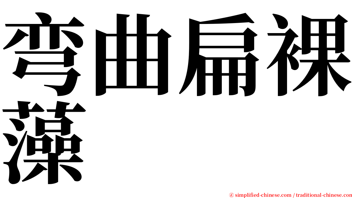 弯曲扁裸藻 serif font