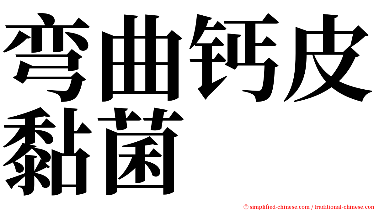 弯曲钙皮黏菌 serif font