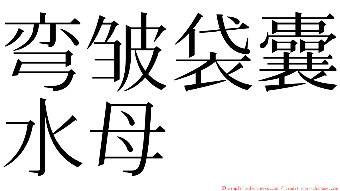 弯皱袋囊水母 ming font