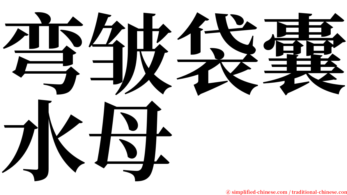 弯皱袋囊水母 serif font