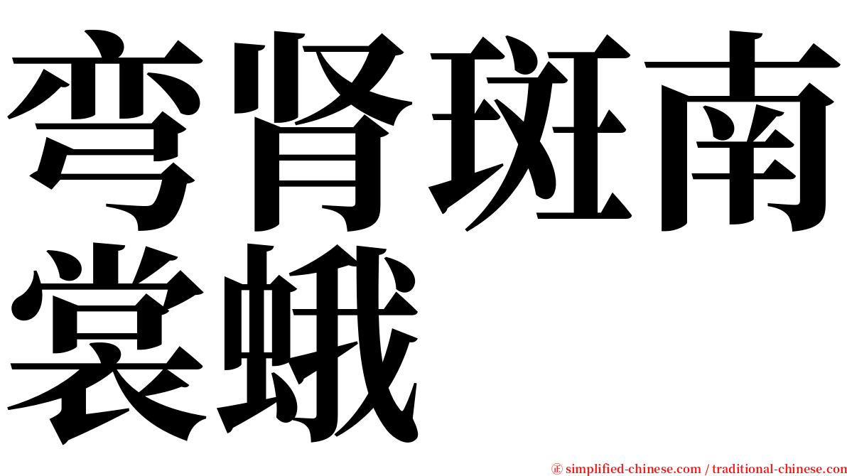 弯肾斑南裳蛾 serif font