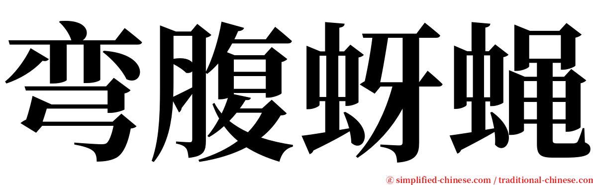 弯腹蚜蝇 serif font