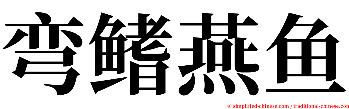 弯鳍燕鱼 serif font