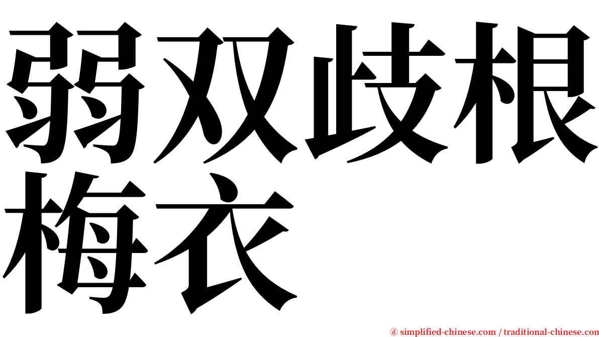 弱双歧根梅衣 serif font
