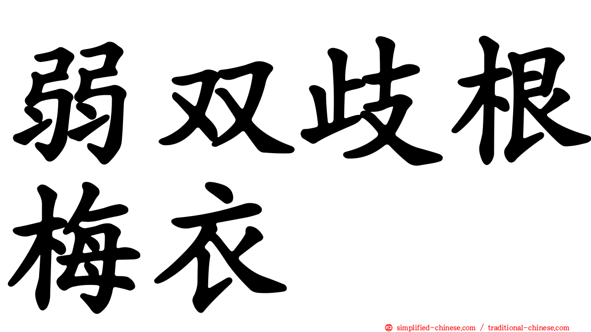 弱双歧根梅衣