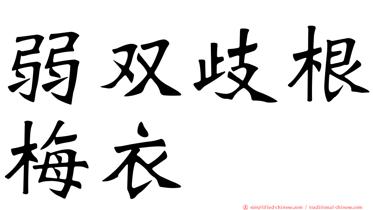 弱双歧根梅衣