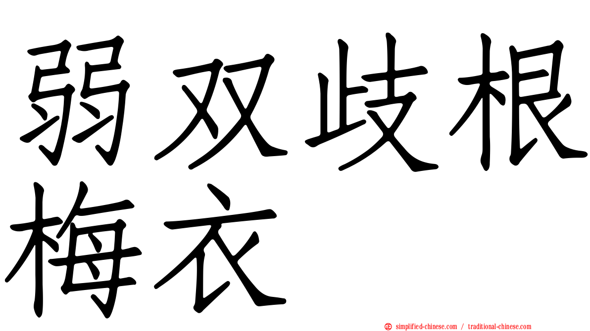 弱双歧根梅衣