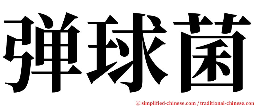 弹球菌 serif font