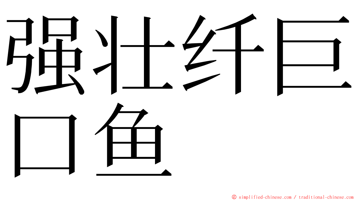 强壮纤巨口鱼 ming font